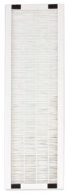 Replacement HEPA Filter for AC-2062G (pack of 2)