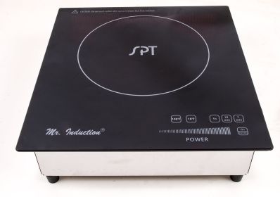 2600W Built-In Induction cooker (Black/Silver)