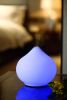 Ultrasonic Aroma Diffuser/Humidifier with Glass Dome