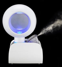 Portable Humidifier with Bottle