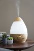 Ultrasonic Humidifier with Fragrance Diffuser (Wood Grain)