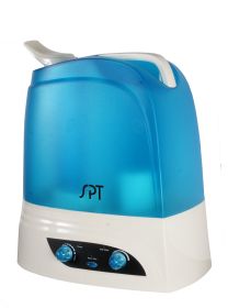 Dual mist humidifier with Ion exchange filter