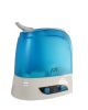 Dual mist humidifier with Ion exchange filter